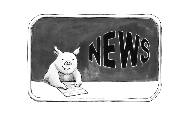 Illustration of a pig reading the news