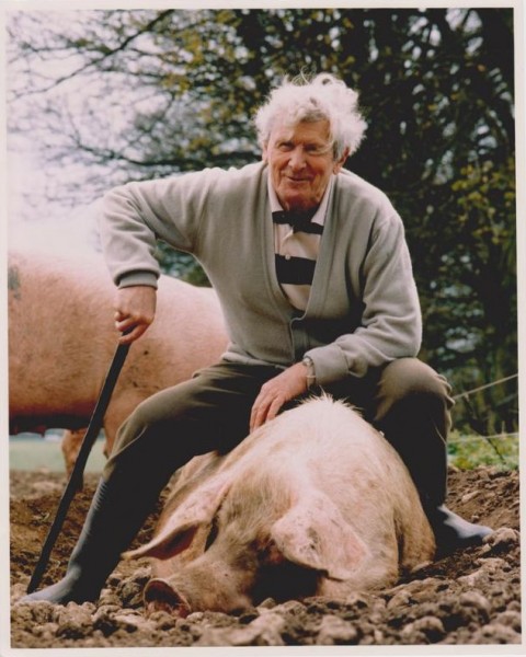 Dick with a pig