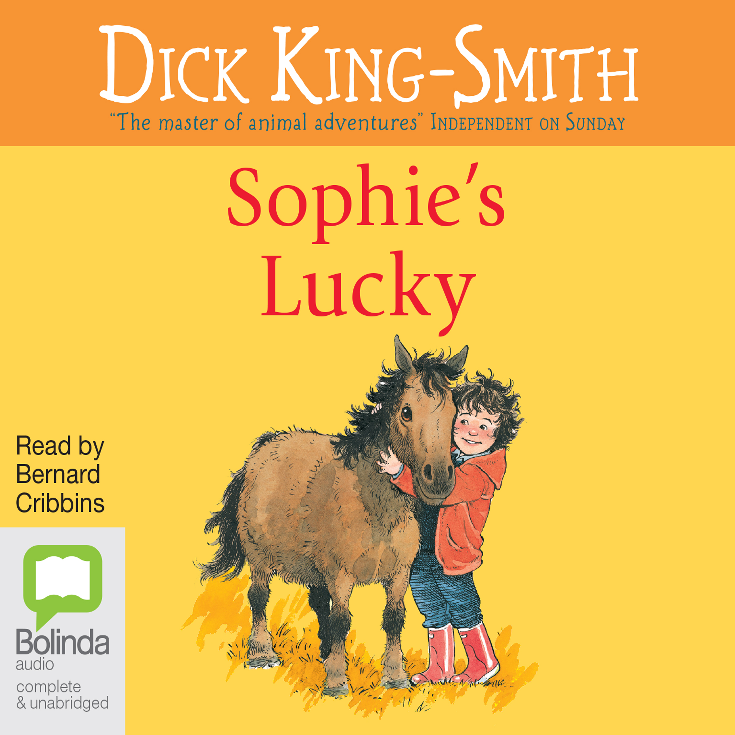 Image result for Dick King-Smithâs Sophie series